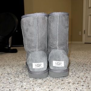 Short Grey UGGS